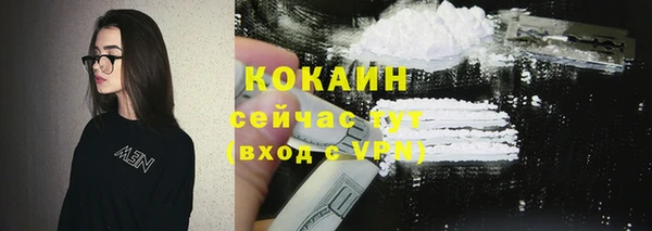 эйфоретик Богданович