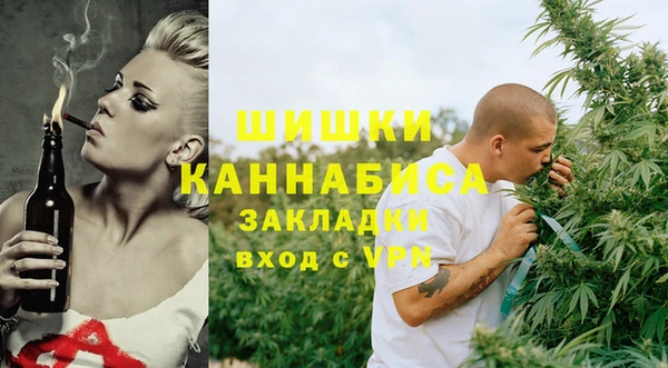 дмт Богородск