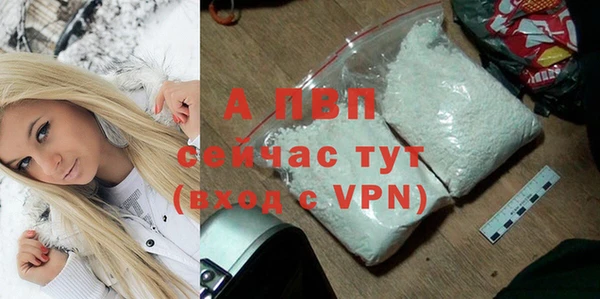 эйфоретик Богданович