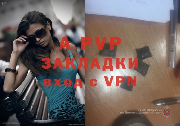 дмт Богородск