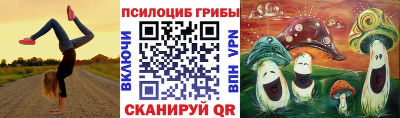 Галлюциногенные грибы Psilocybine cubensis  купить наркотики сайты  Белинский 